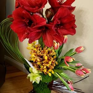 Meet your Posher, Sara